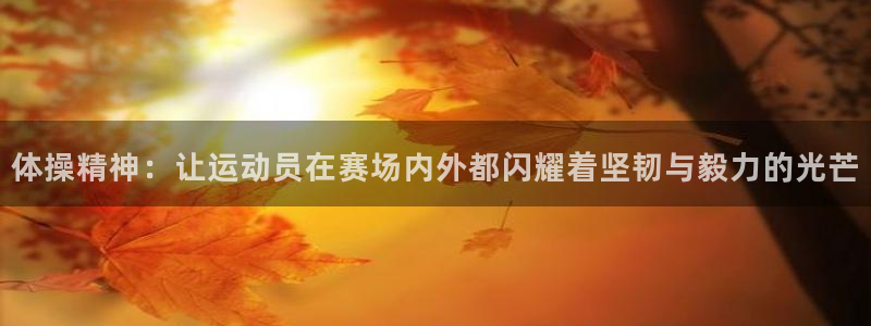 体操精神：让运动员在赛场内外都闪耀着坚韧与毅力的光芒