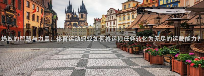 蚂蚁的智慧与力量：体育运动蚂蚁如何将运粮任务转化为无尽的运载能力？